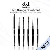 Pro Range Nail Art Brushes Set van 5