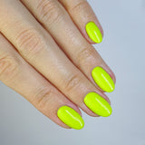 Parrot Green 15ML
